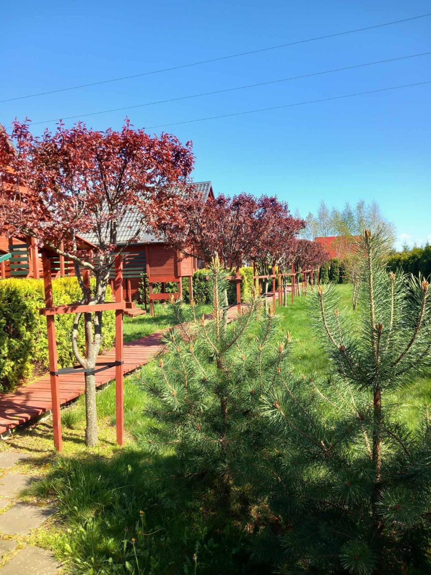 Mandarynka Ow Villa Jarosławiec Exterior foto